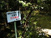 s_PICT0104_thumb.png